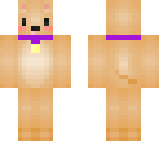 cute dog
