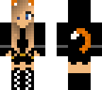 ginger ninja cat