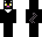 this is poncho my cat