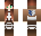 aot skin