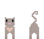 kitty