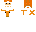 the longhorns