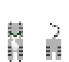 cute grey cat