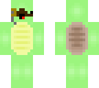 fancy turtle