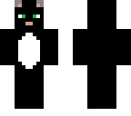 black cat