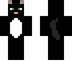 black cat