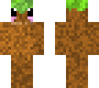 dirt