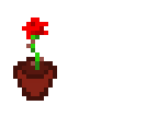 flower in a flower pot