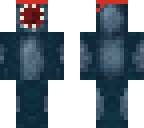 ninja squid