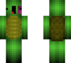 beat up turtle