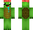 ryan's turtle