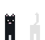 black and white cat