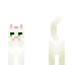 grumpy cat or tardar suace