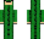 i am cactus