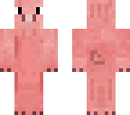 snout pig