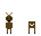 white tailed deer