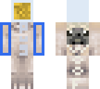 astro pug upgrade