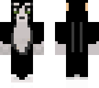 black and white cat