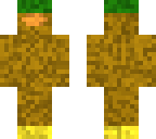 duck 1