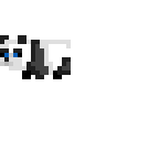 pandy