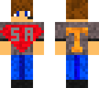 sateamleader redo