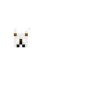 angry dog