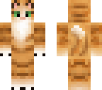 cute tabby cat