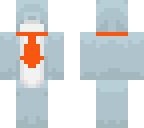 dolphin2