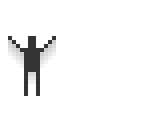 fly