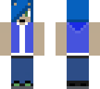 sanic human