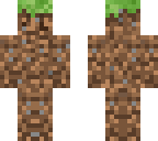 grass 