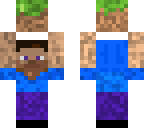 mini steve