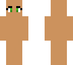 skin template