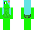 fixed turtle girl