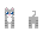kitty kitty