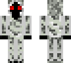 entity 303