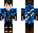 blue shadow knight assasin