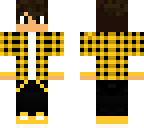 minecraft pro