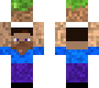 mini mini mini mini steve