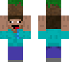 steve with dirtblock