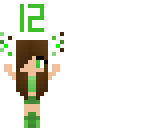 12 followers