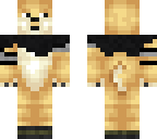 cloaked doge