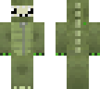 derrpy turtle