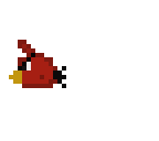 red bird