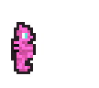 seahorse