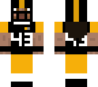 troy polumalu