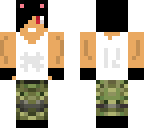 army cat dad