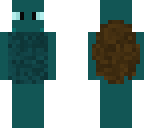 turtle person
