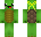 bow turtle