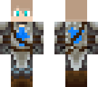 fixed knight boy